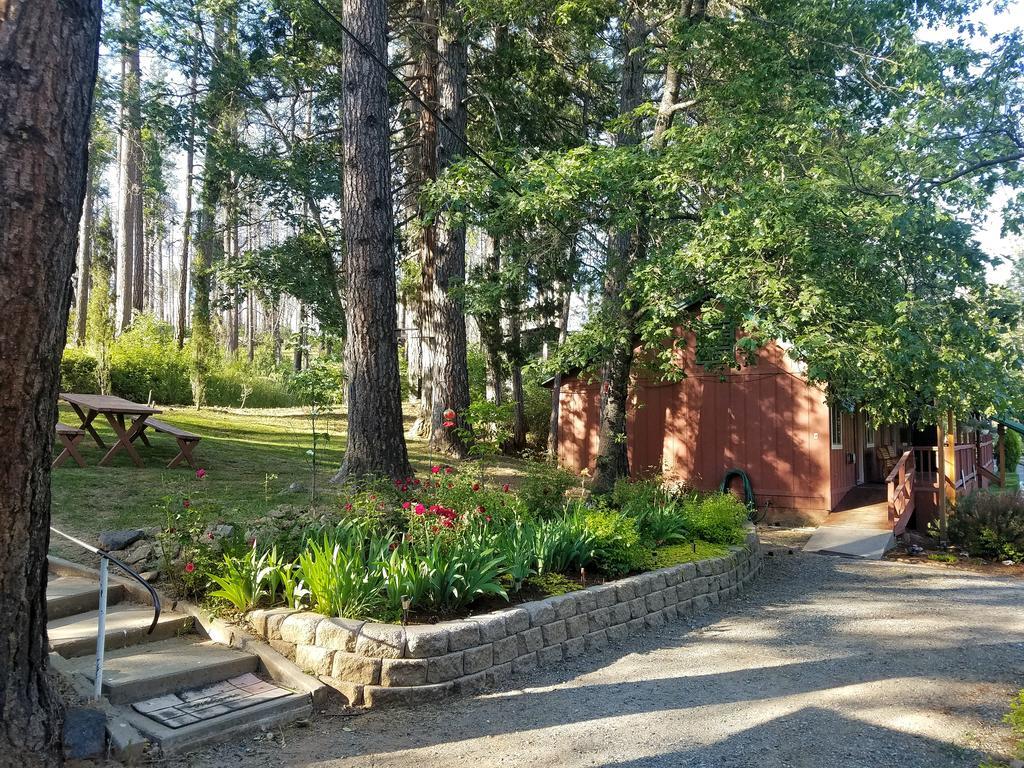 Yosemite Riverside Inn Groveland Εξωτερικό φωτογραφία