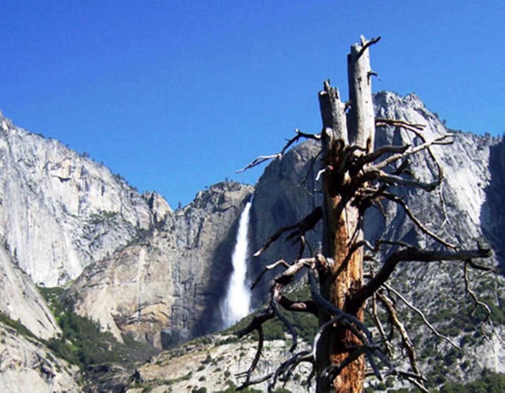 Yosemite Riverside Inn Groveland Εξωτερικό φωτογραφία